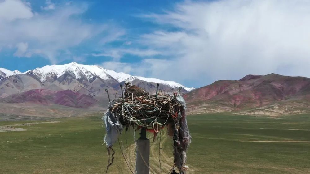 半月谈丨生态修复“美