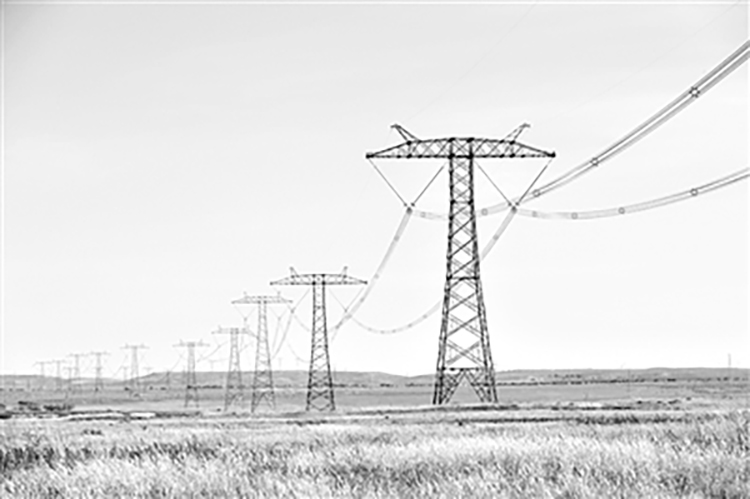 新能源占“半壁江山”