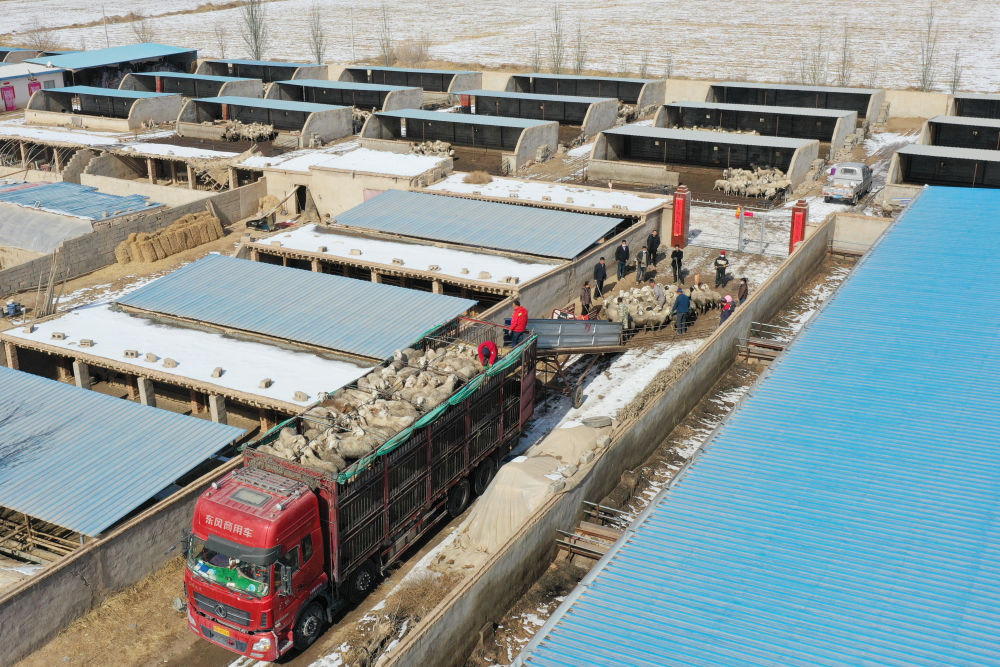 武威市古浪县黄花滩镇