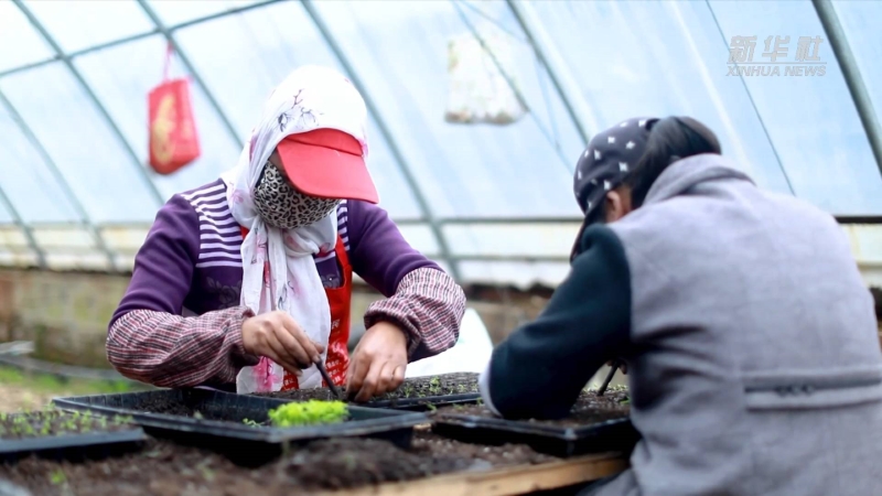 甘肃平凉市:泾河岸边抢