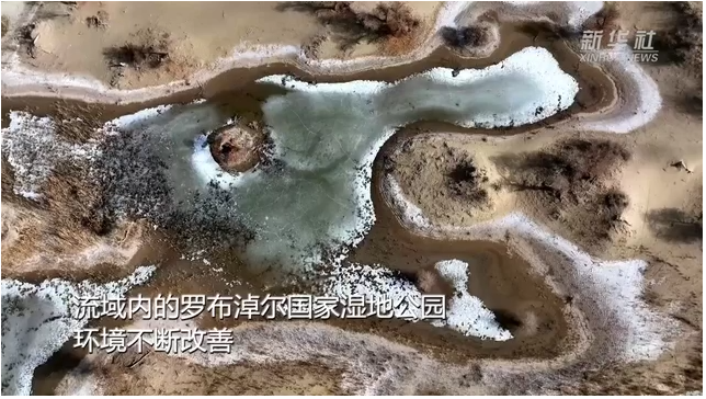 新疆罗布淖尔国家湿地