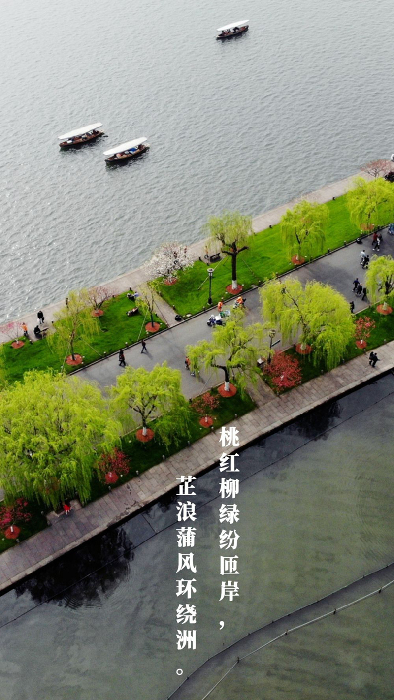 植树传统，从古诗中走