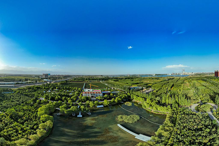 宁夏银川:立足资源禀