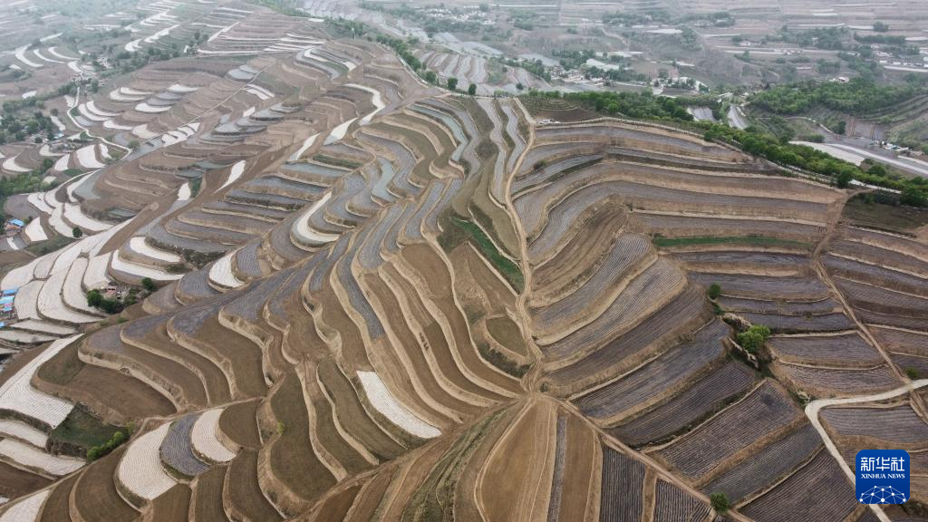 乡村振兴 | 记者手记：