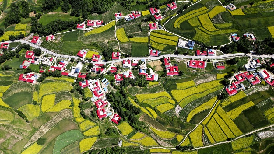 近悦远来,陇原乡村绽