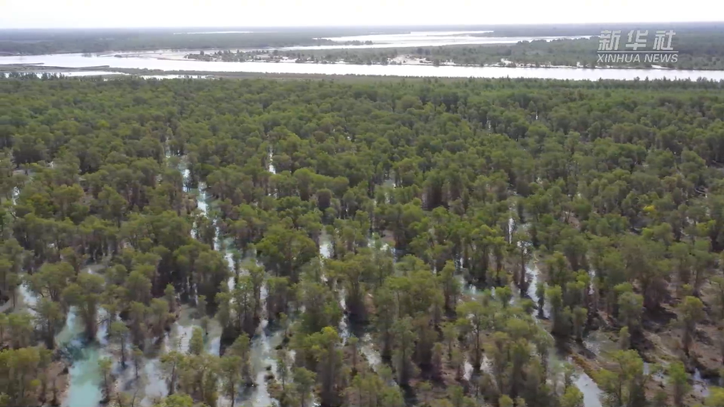 沿着河湖看新疆丨塔里