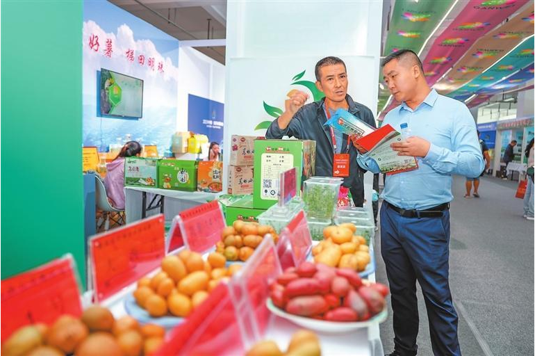 甘肃定西：以“薯”为