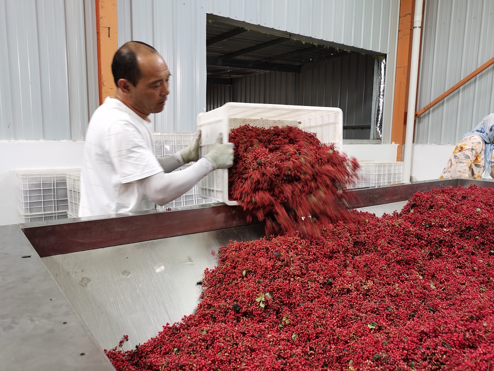 一位“剃头匠”眼中的