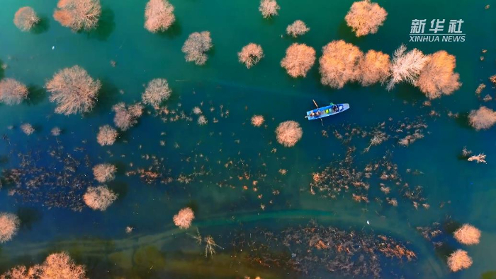 壮美黄河|奇峡秀水