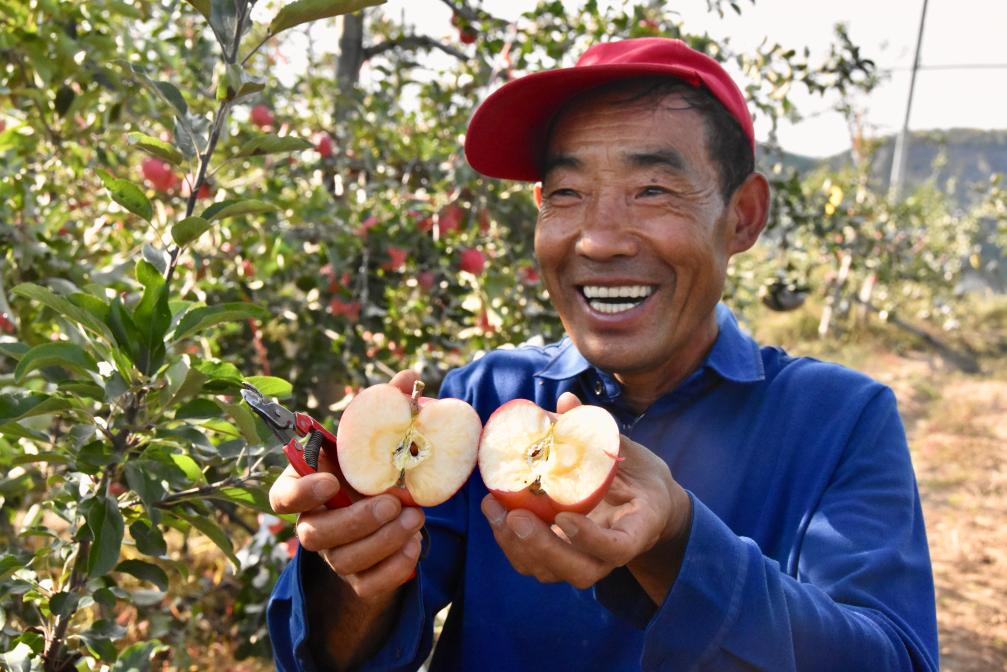 陕西吴起:青山叠翠苹