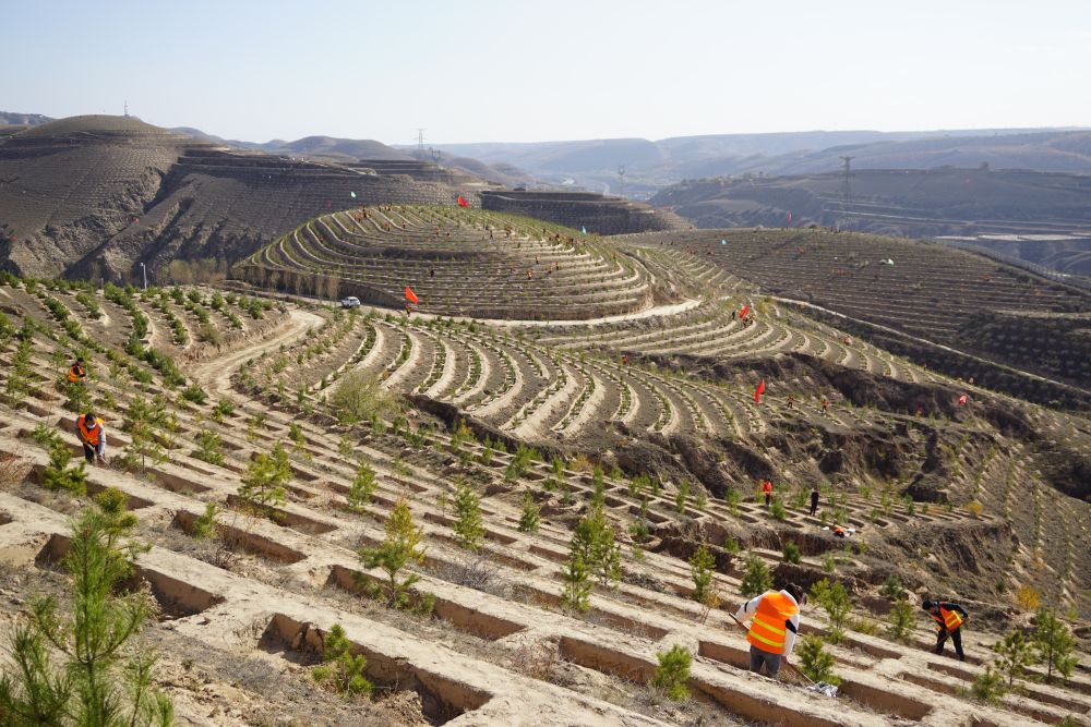 甘肃全面打响“三北”