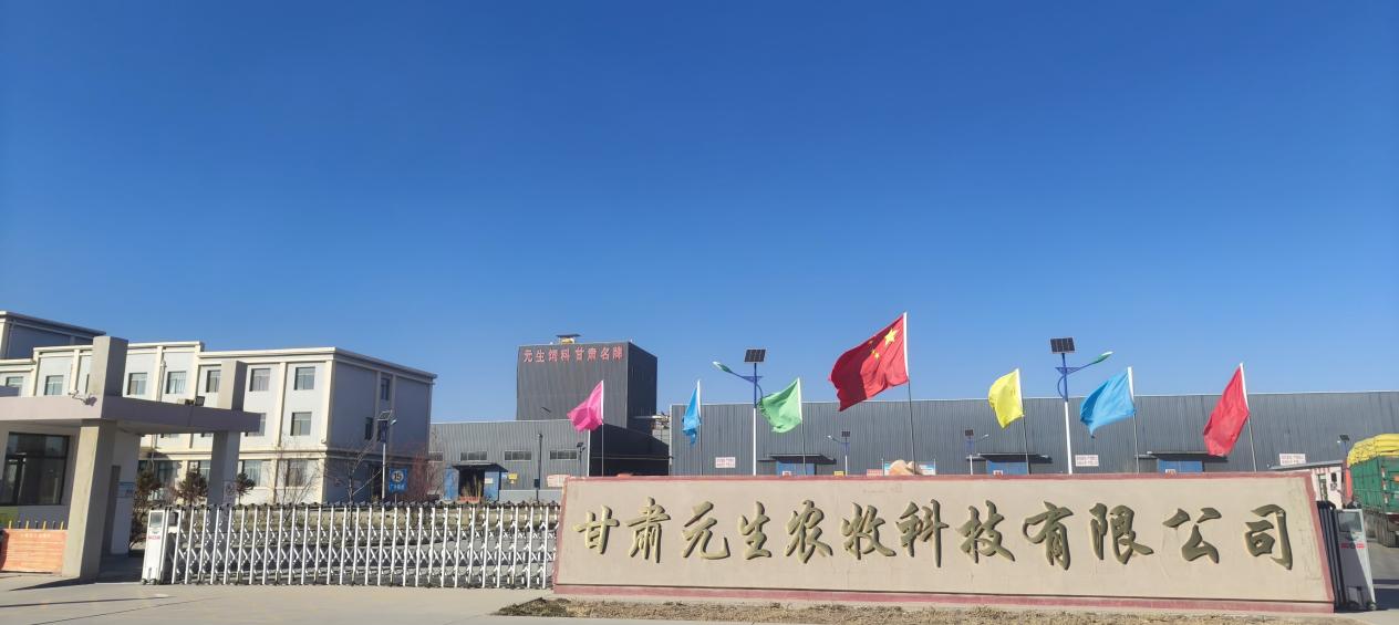 永昌县创新羊产业:全