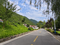 陇南成县二郎乡：“微